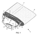 US-7210177-B1 figure 3