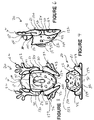 US-7302715-B1 figure 5
