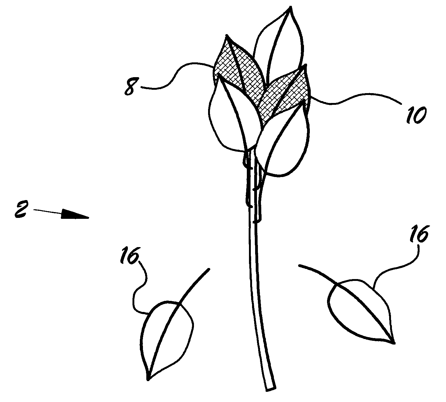 US-7302747-B1 figure 2