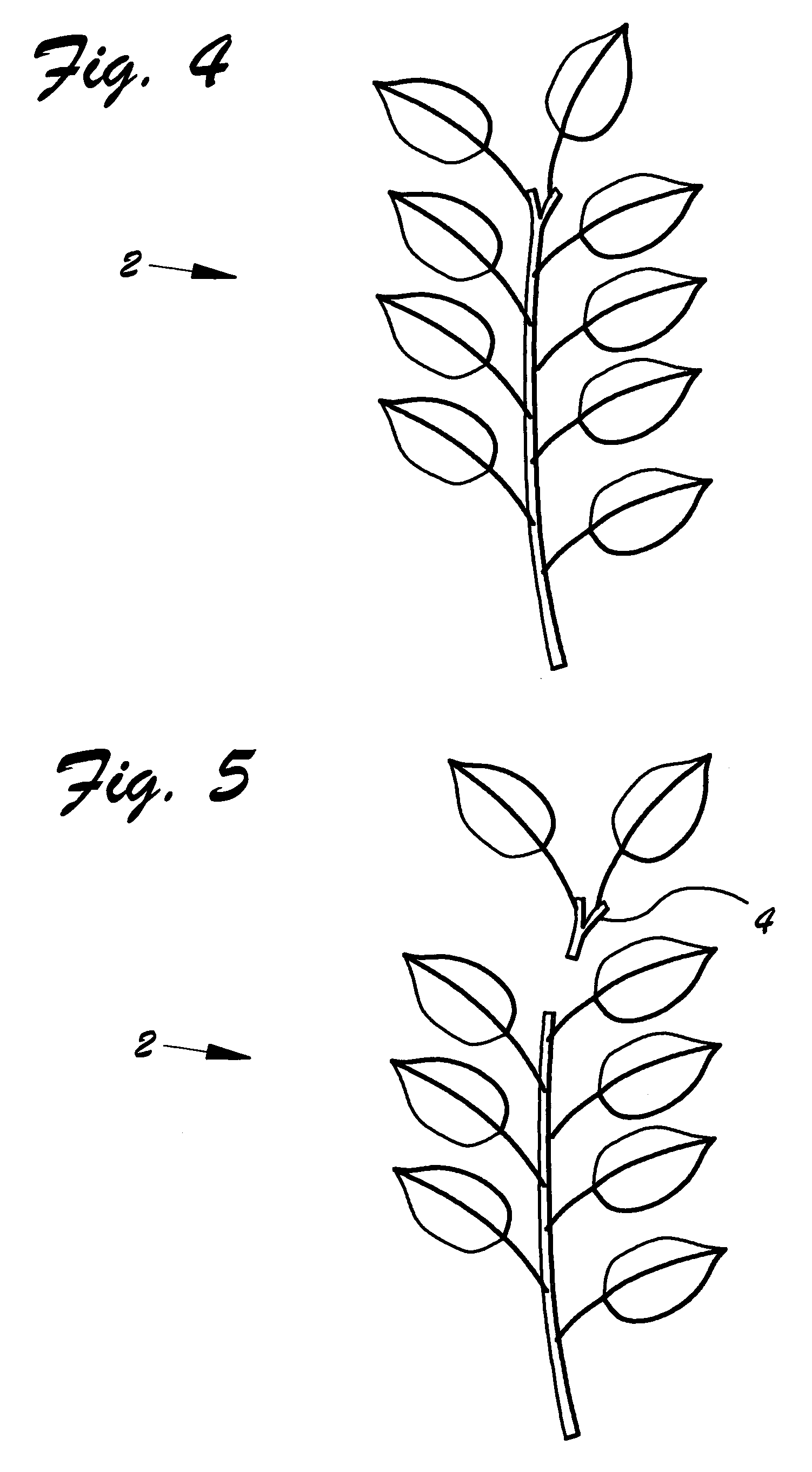 US-7302747-B1 figure 6