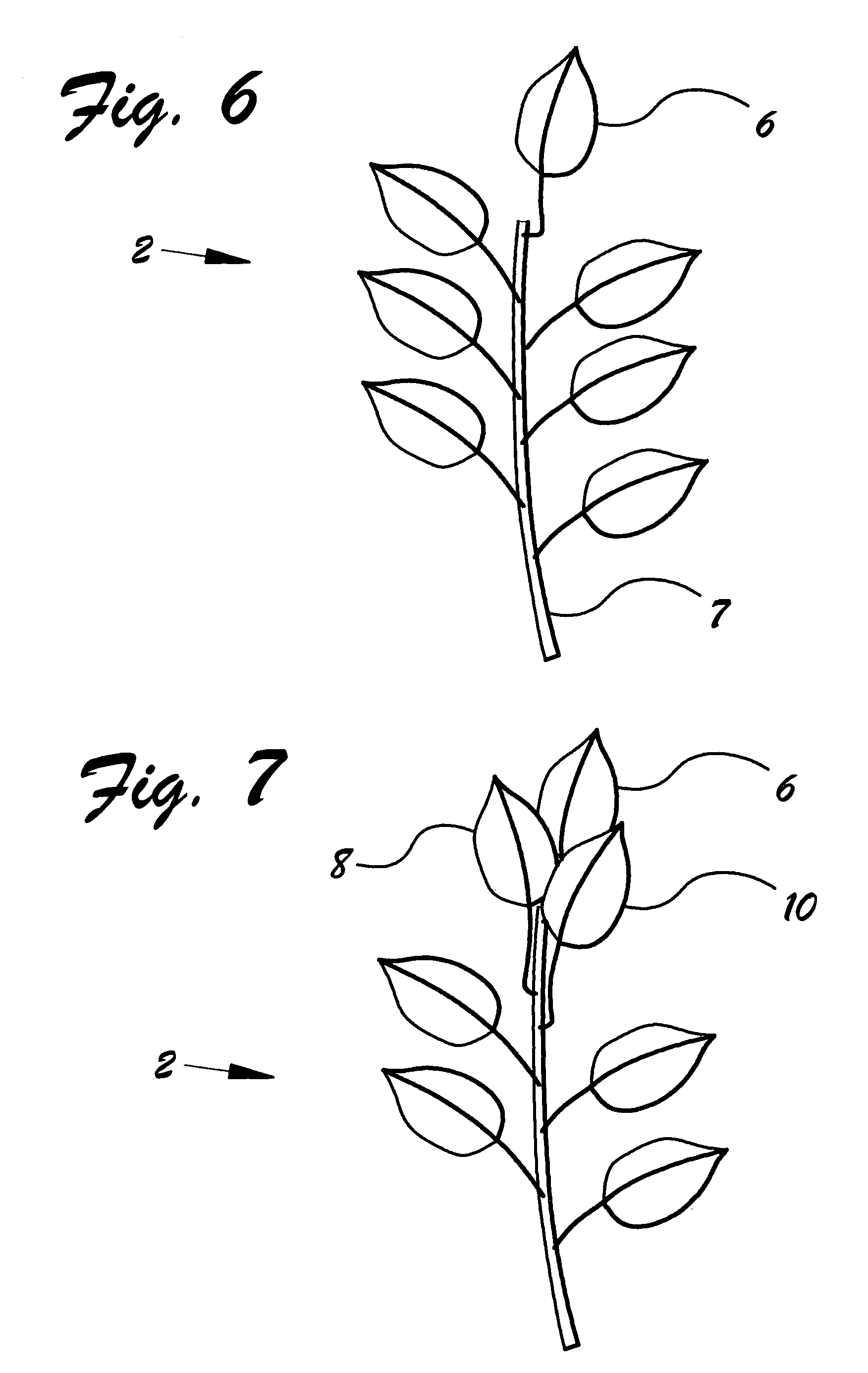 US-7302747-B1 figure 8