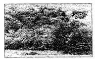 US-7320348-B2 figure 1