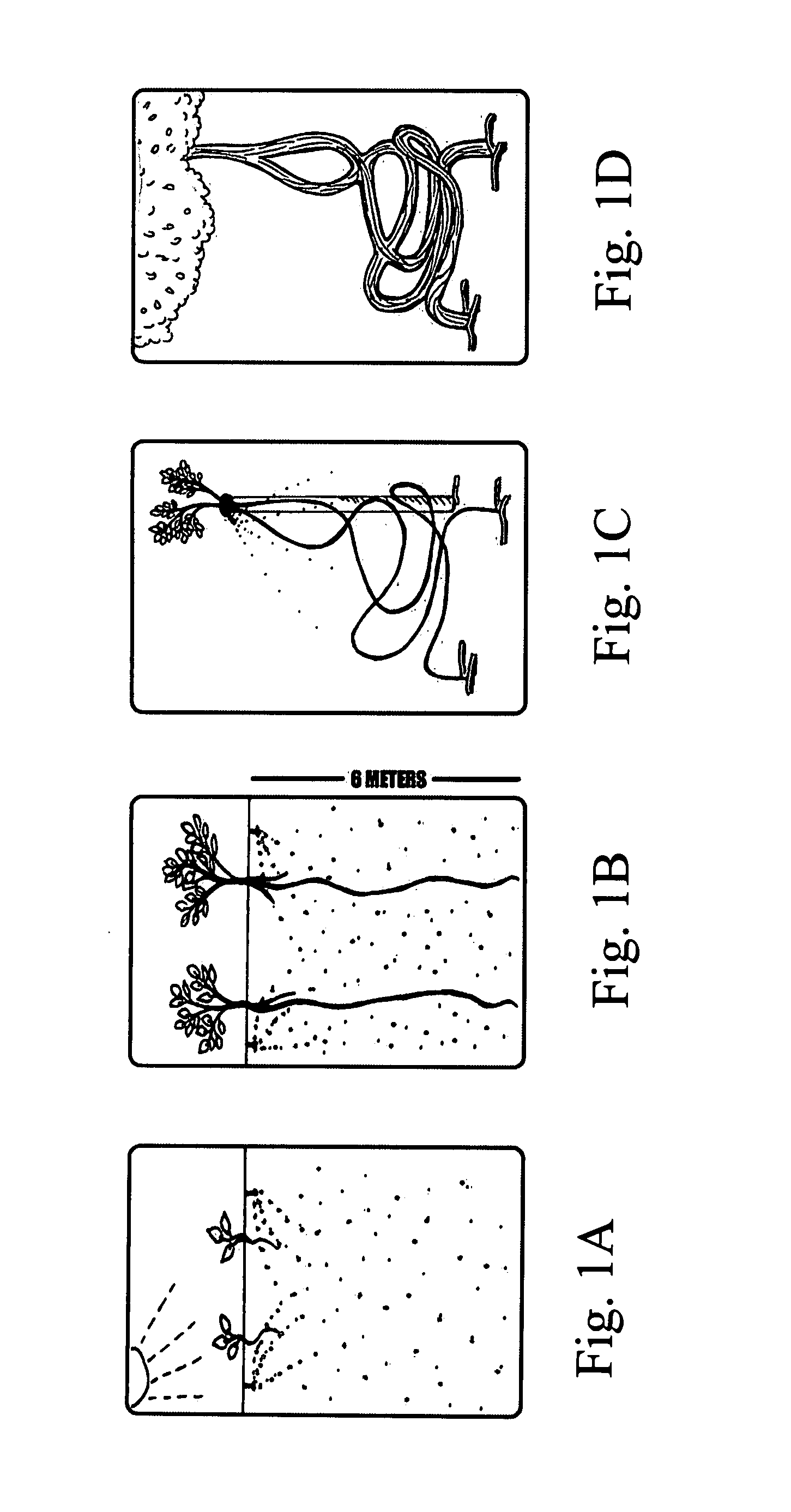 US-7328532-B2 figure 4