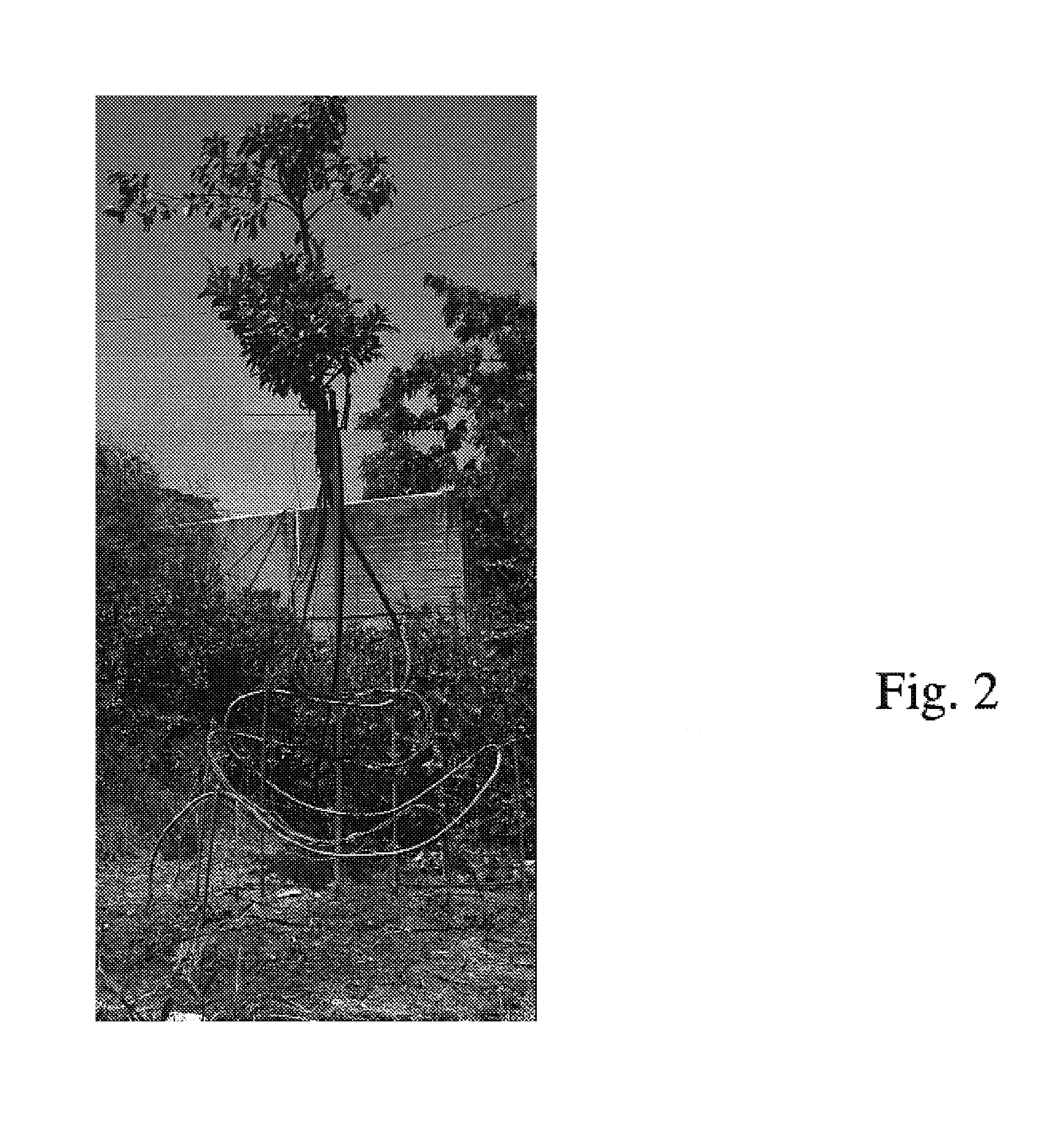 US-7328532-B2 figure 6