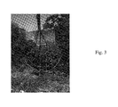 US-7328532-B2 figure 7
