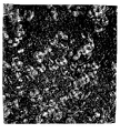 US-7412878-B2 figure 1
