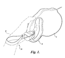 US-7484273-B1 figure 3