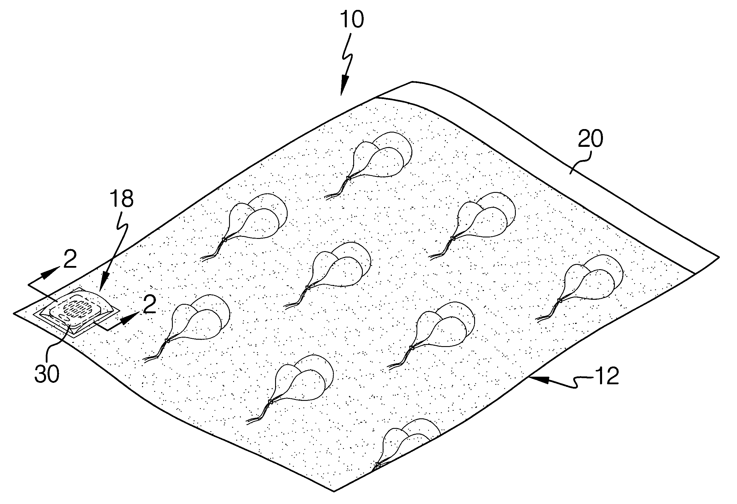 US-7486197-B1 figure 2