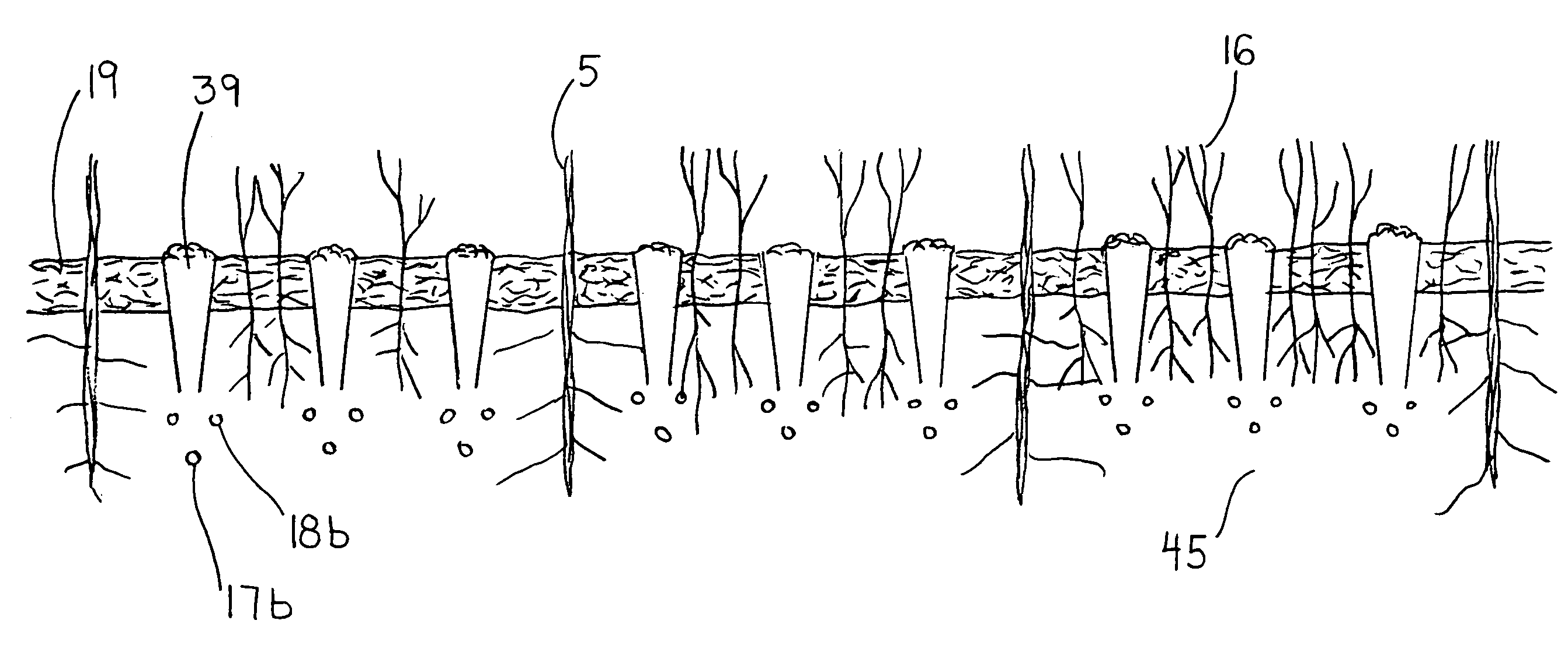 US-7634869-B1 figure 2