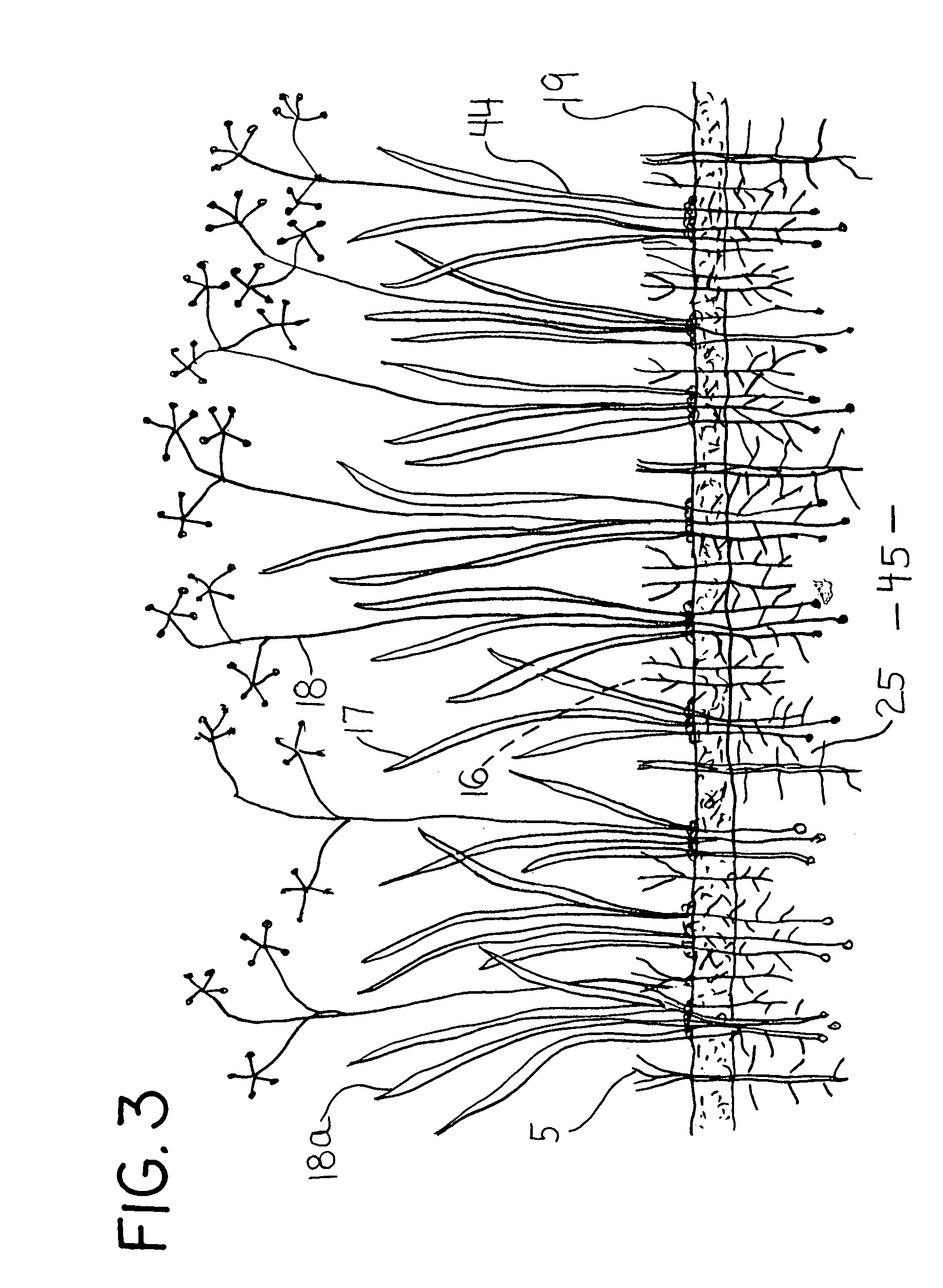 US-7634869-B1 figure 8