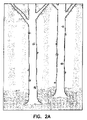 US-7638145-B2 figure 3