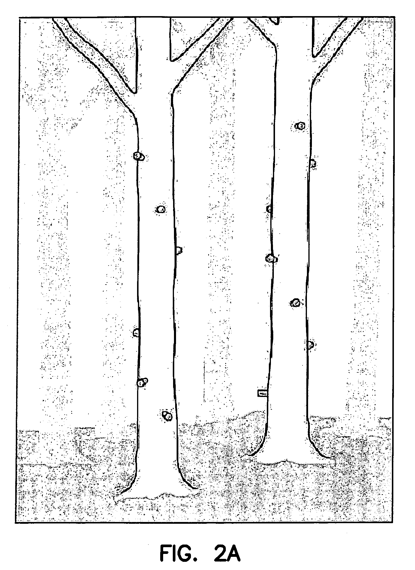 US-7638145-B2 figure 4
