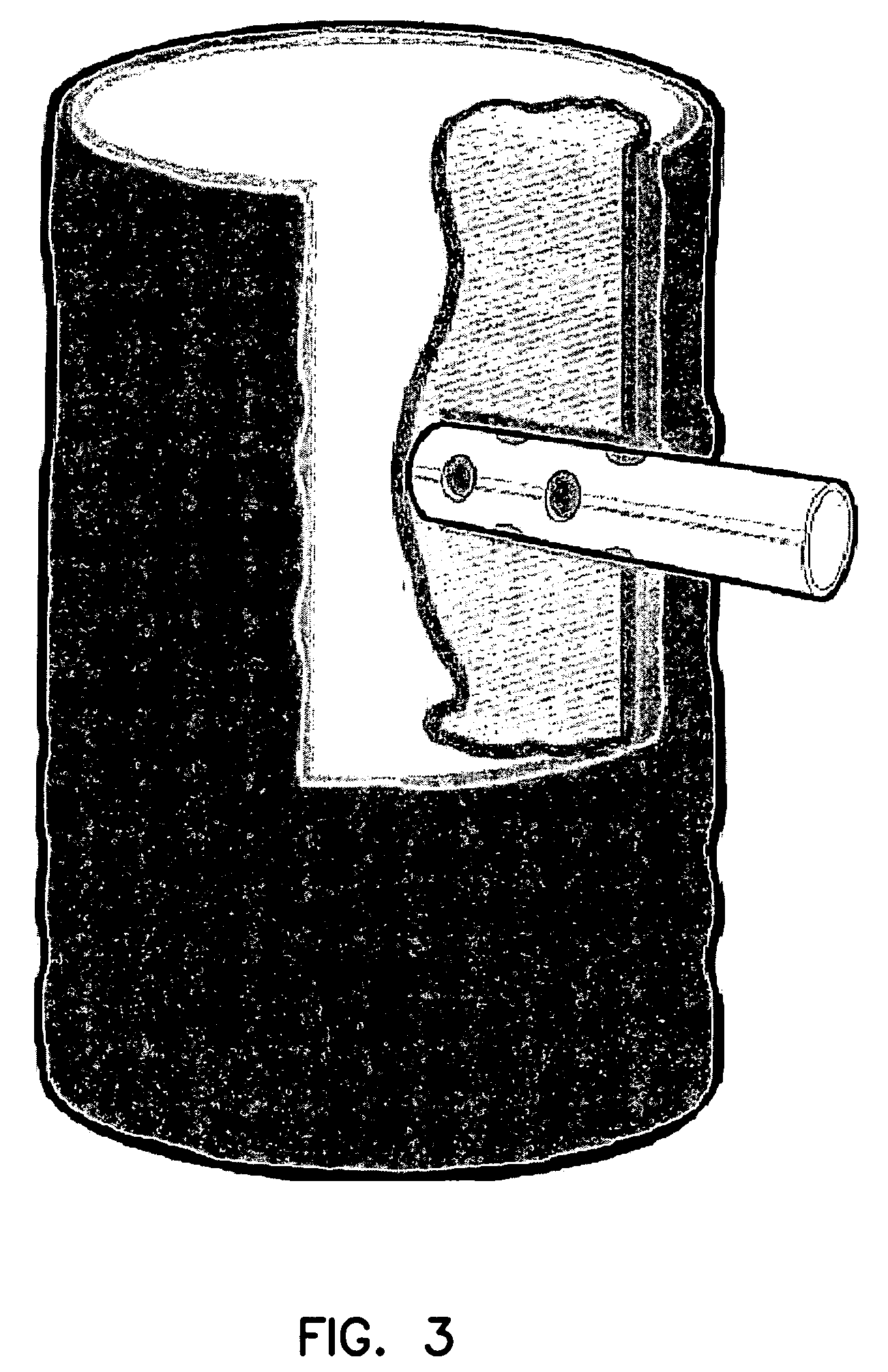 US-7638145-B2 figure 8