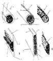 US-7712252-B2 figure 3