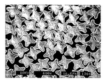 US-7816288-B2 figure 1