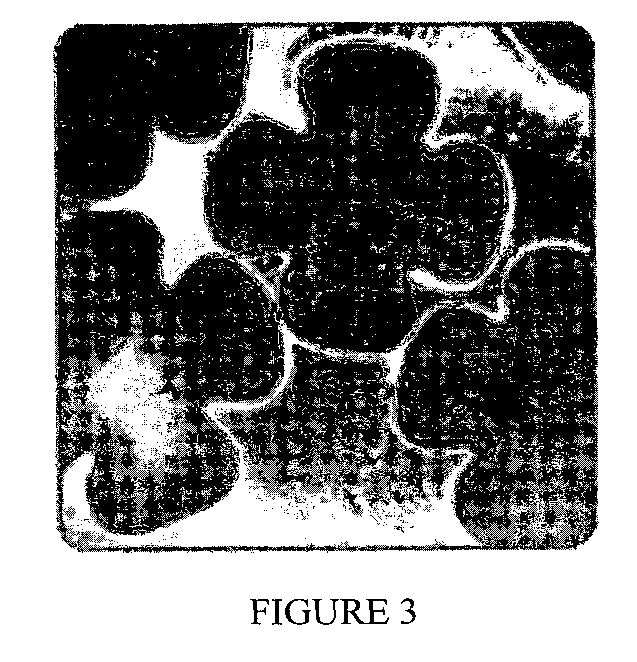 US-7816288-B2 figure 8