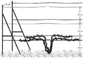 US-7818915-B1 figure 1