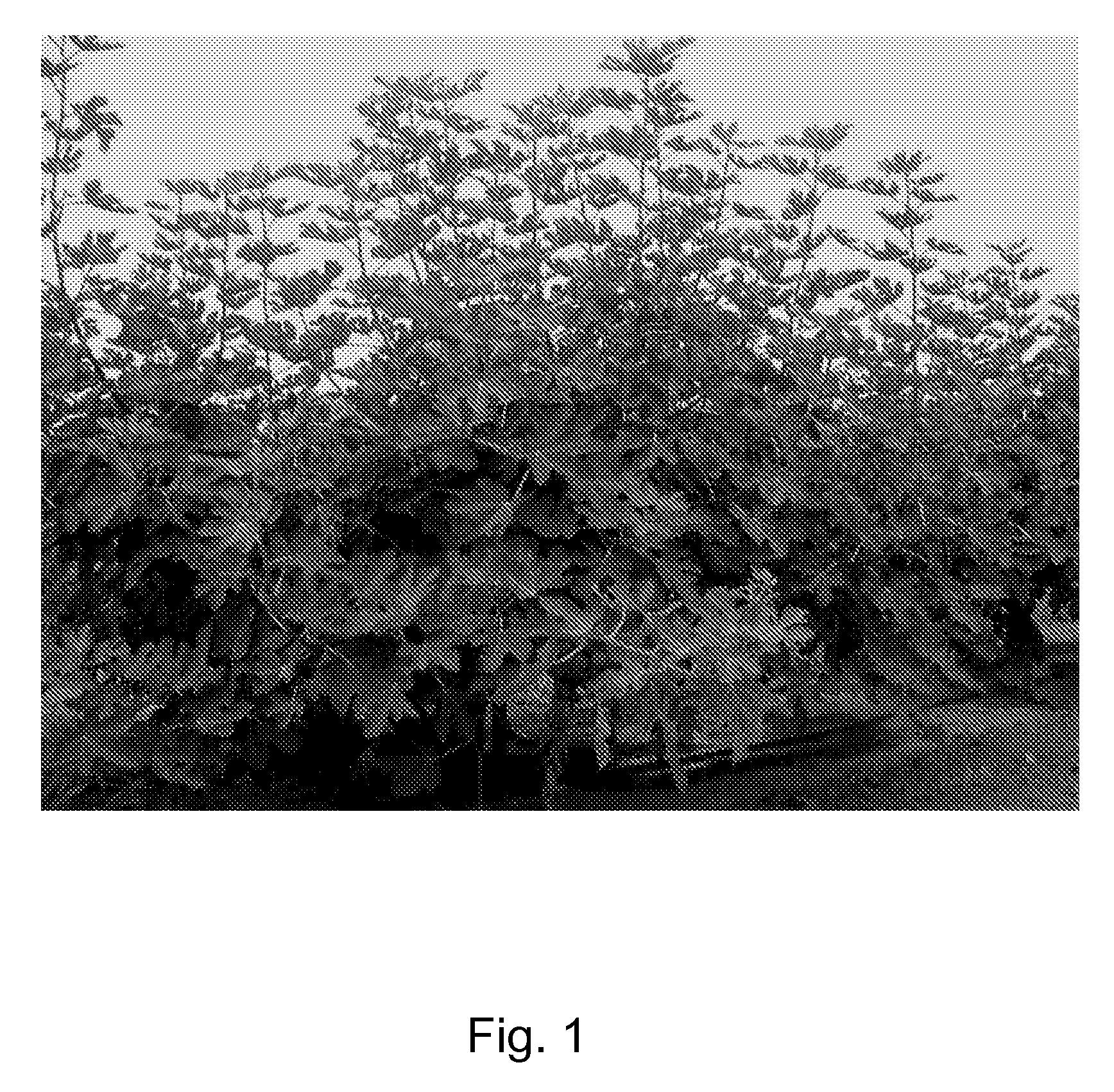US-7818915-B1 figure 4