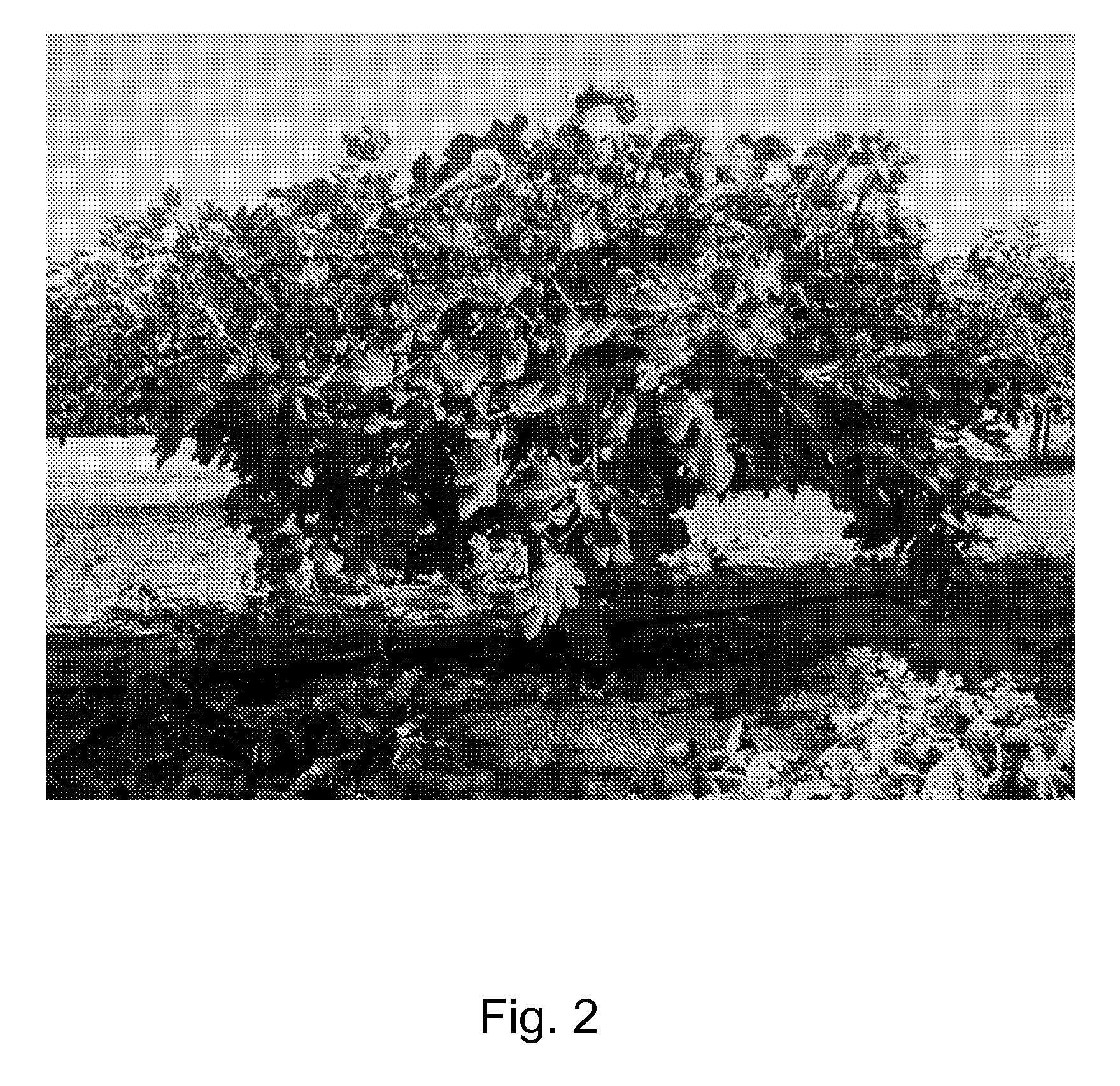 US-7818915-B1 figure 6