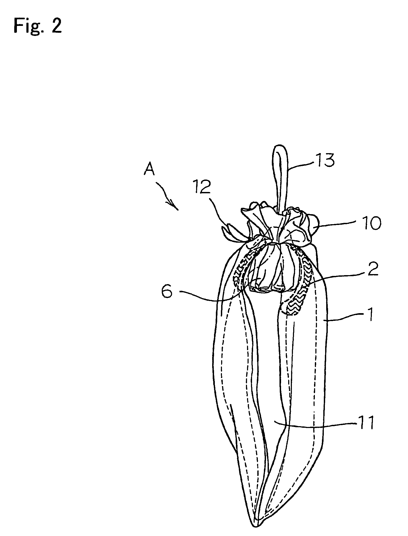 US-7854977-B2 figure 6