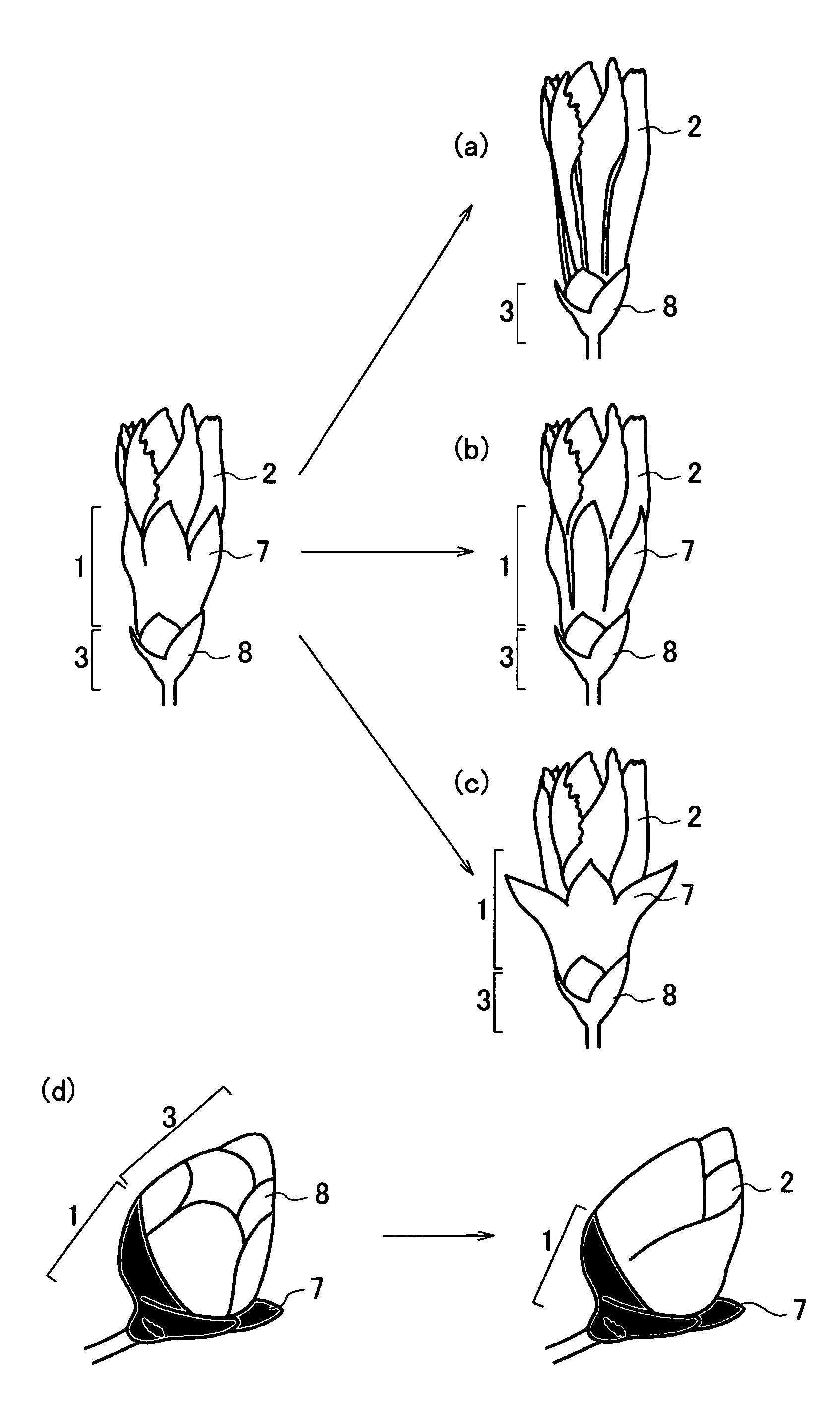 US-7923601-B2 figure 2