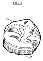 US-7941966-B2 figure 7