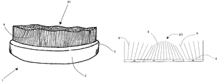 US-8201299-B2 figure 1